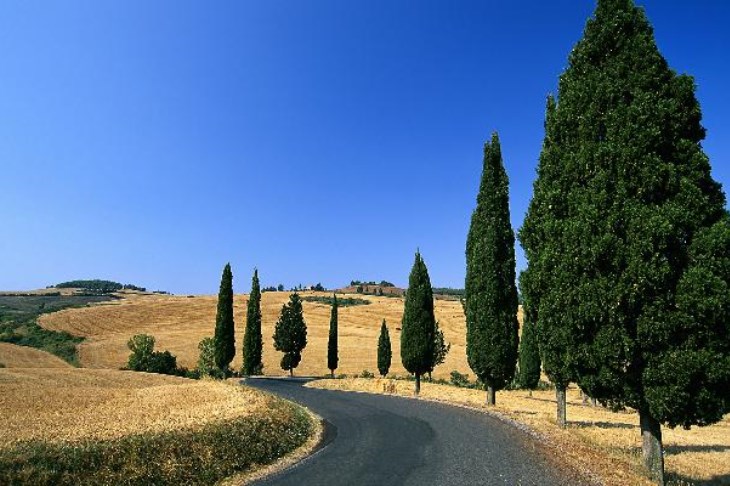 The beautiful and relaxing roads of Tuscany